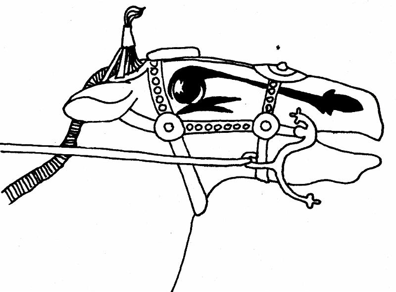 Wie vor mit S-Trense (Rek.).jpg